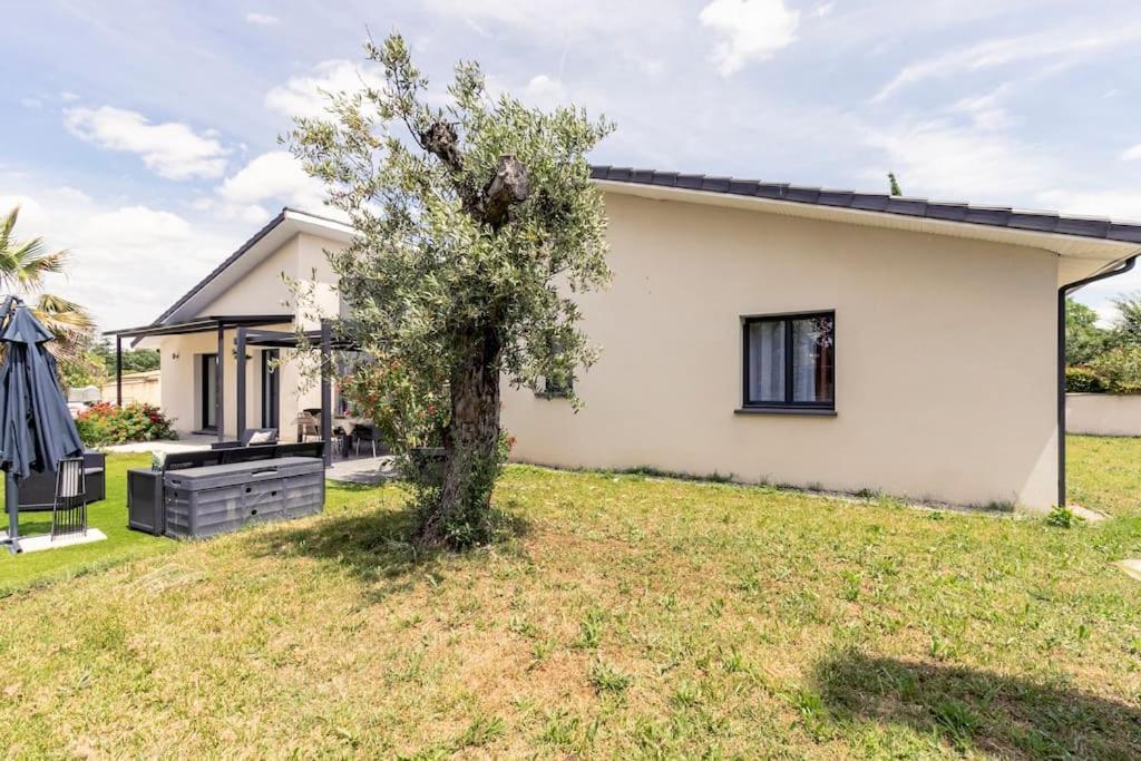 Villa Des Rives Du Tarn Avec Jacuzzi Montans Exterior photo