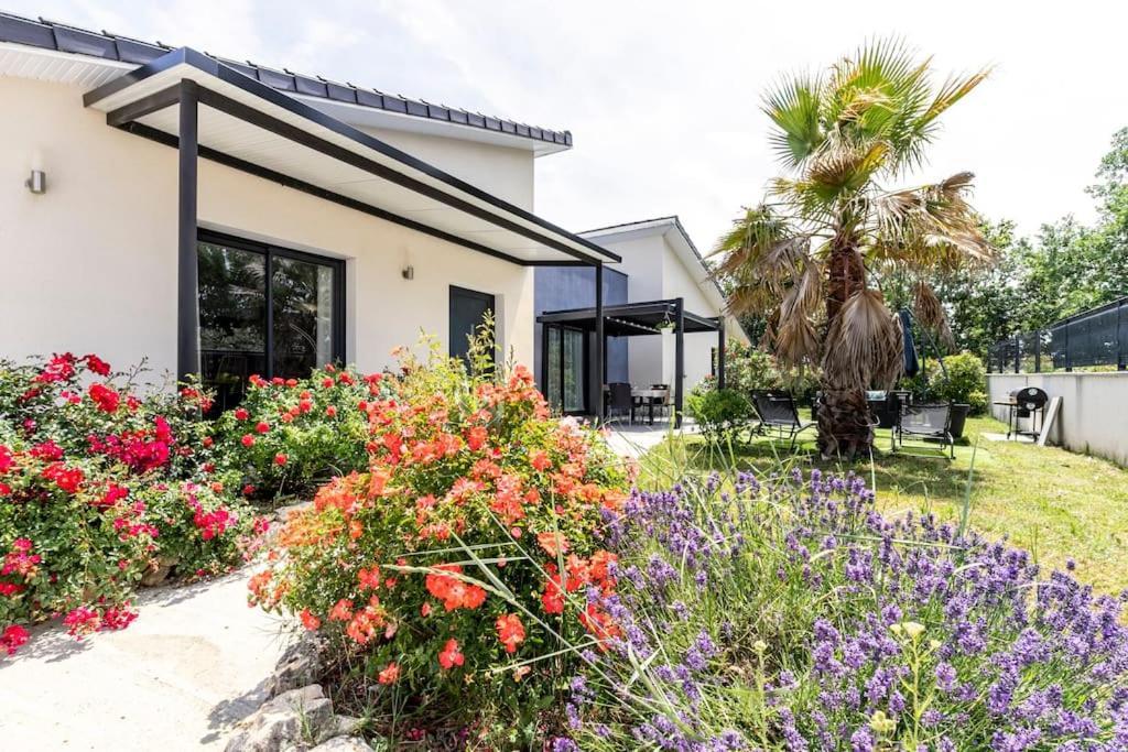 Villa Des Rives Du Tarn Avec Jacuzzi Montans Exterior photo